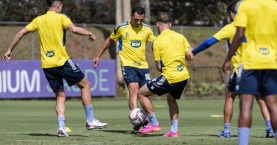 T.A.C.E.C - Torcedores Apaixonados Pelo Cruzeiro Esporte Clube