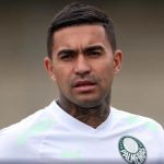 Dudu Palmeiras Cruzeiro