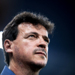 Fernando Diniz, Cruzeiro