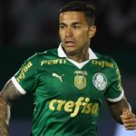 Cruzeiro de olho em Dudu - Foto: Divulgação