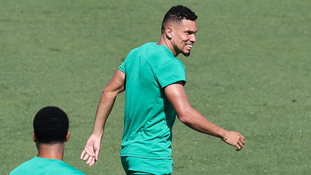 Paulinho. Foto: Cesar Greco/Palmeiras